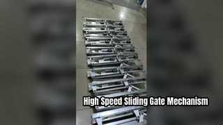 Translation Gate Mechanism